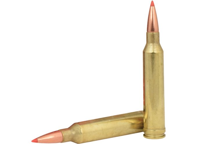 Best 7mm Rem. Mag. Ammo For Hunting And More (2023)