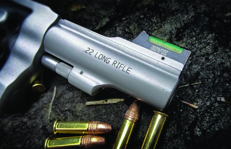 Best .22 LR Ammo: Range, Hunting And Defense (2024)