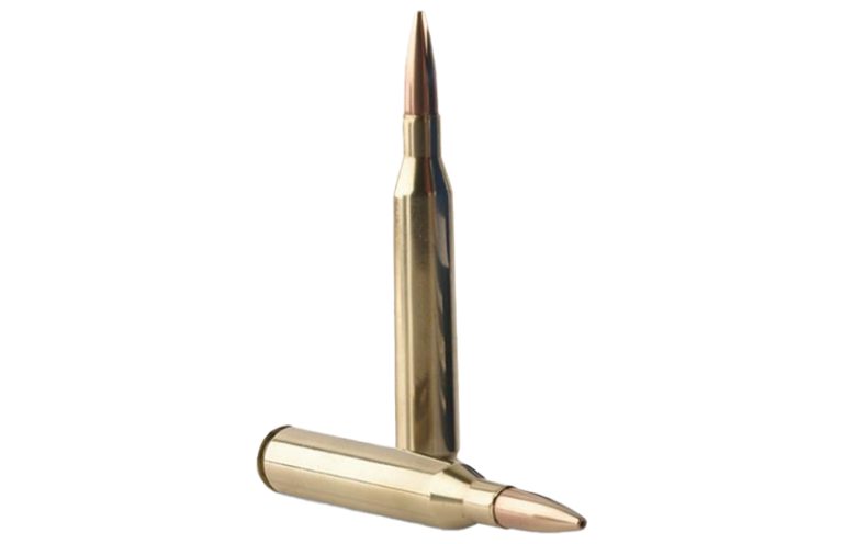 The Forgotten 6.5mm: .25-06 Remington