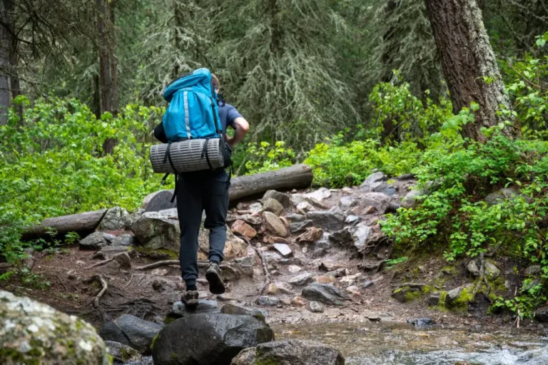 Best Subreddits for Hikers and Adventurers (Complete 2024 List)
